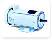 Washdown DC Motor