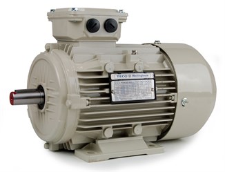 Teco AC Motor 0.75kW 1500rpm IE3 B3 Aluminium  D80