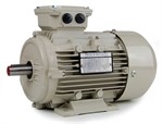 0.18kW 3000rpm Teco IE3  B3 Aluminium  D63