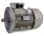 Teco AC Motor 7.5kW 3000rpm IE3 B5 Aluminium  D132