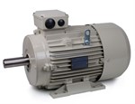 Teco AC Motor 15kW 1500rpm IE3 B3 Aluminium  D160L