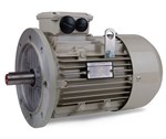 Teco AC Motor 18.5kW 3000rpm IE3 B5 Aluminium  D160L