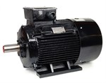 Teco AC Motor 90kW 1500rpm IE3 B3 Cast Iron  D280M