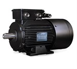 LSMV Inverter Rated Motors