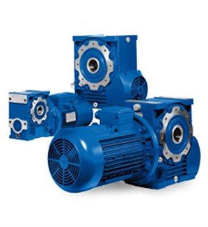 Worm Gearmotors