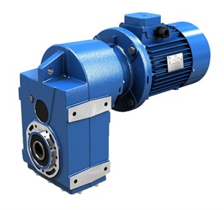 Parallel shaft mounted geared motor
