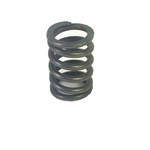 LS100 COMPRESSION SPRING