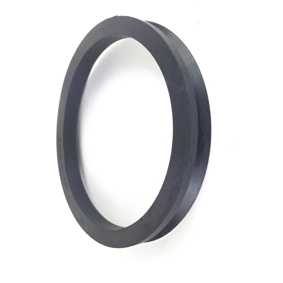 V RING SEAL VA075